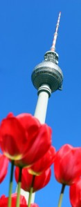 Der Fernsehtum am Alex mit roten Tulpen im Vordergrund